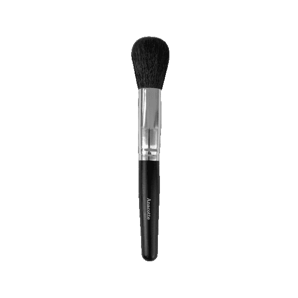 Anacotte's Versatile Powder Brush Blender, Perfect for Blush and Blender