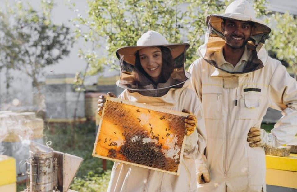 The Unlikely Partnership Between AI and Beekeeping