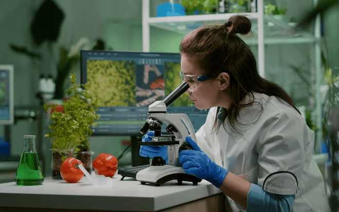 How Synthetic Biology Could Reshape Global Food Security